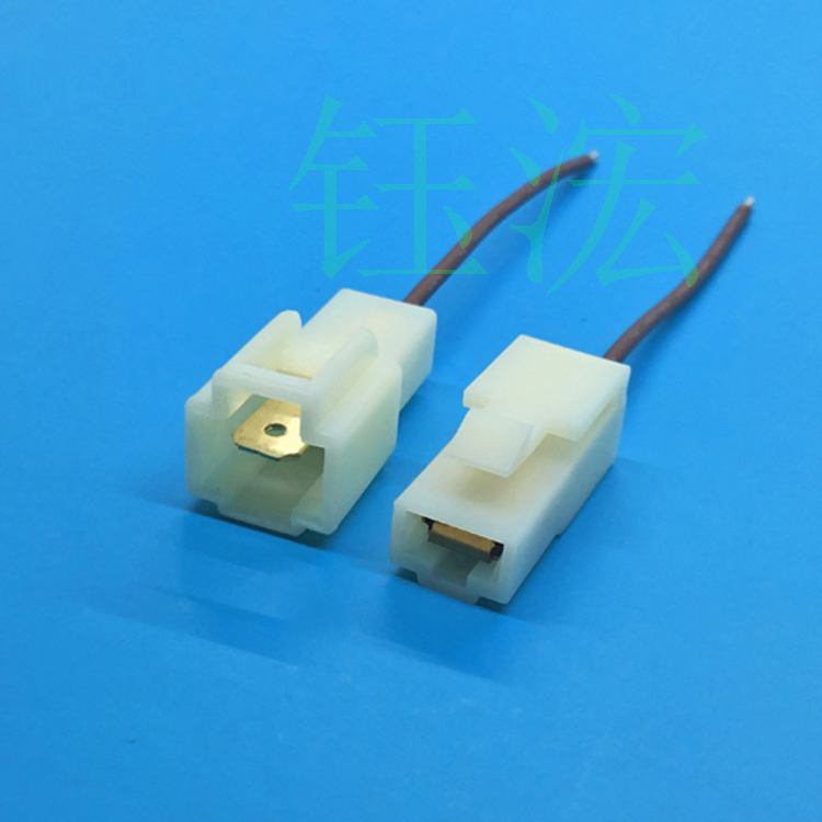 L6.3單P公母